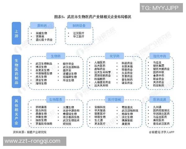 聚焦世界足球国家队球星成长之路与辉煌成就全景解析 聚焦世界足球国家队球星成长之路与辉煌成就全景解析